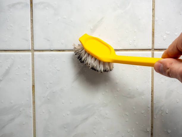 Best Mold Remediation  in Scandia, MN