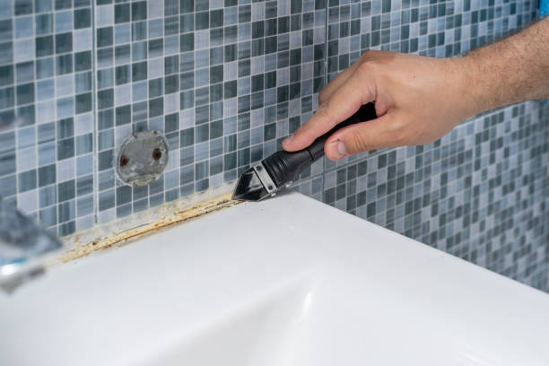 Best Local Mold Removal Service  in Scandia, MN